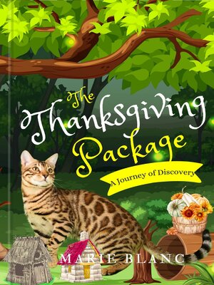 cover image of The Thanksgiving Package